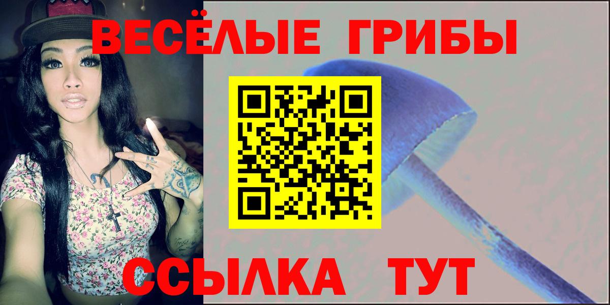 Псилоцибиновые грибы Psilocybine cubensis Славгород