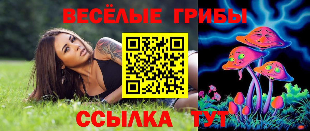 Псилоцибиновые грибы мухоморы  Псилоцибиновые грибы ЛСД  Славгород  Вход с VPN 